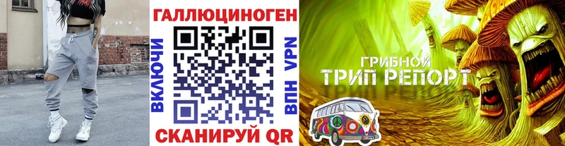 закладки  Черкесск  Псилоцибиновые грибы Magic Shrooms 